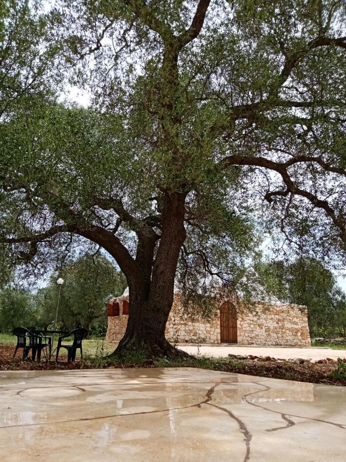 Villa Trulli Monte Madre à San Vito dei Normanni Extérieur photo