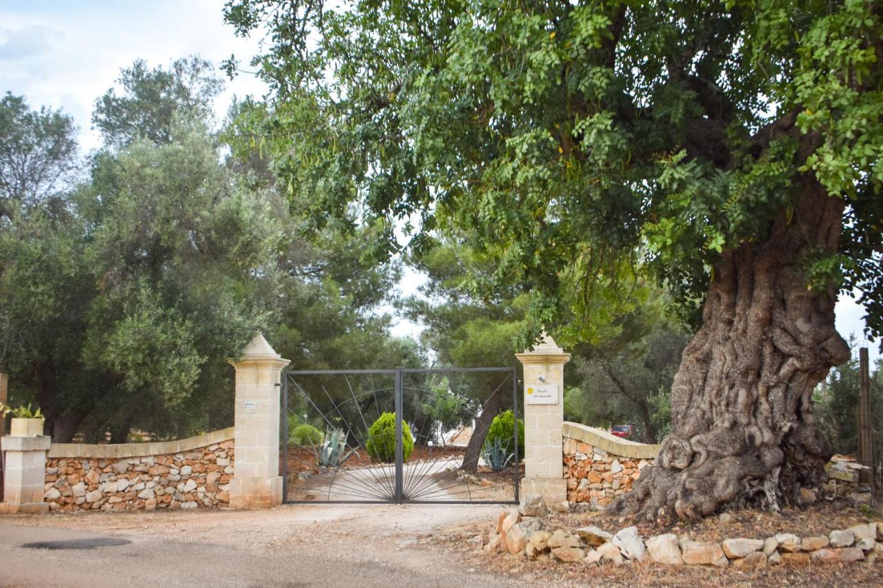 Villa Trulli Monte Madre à San Vito dei Normanni Extérieur photo